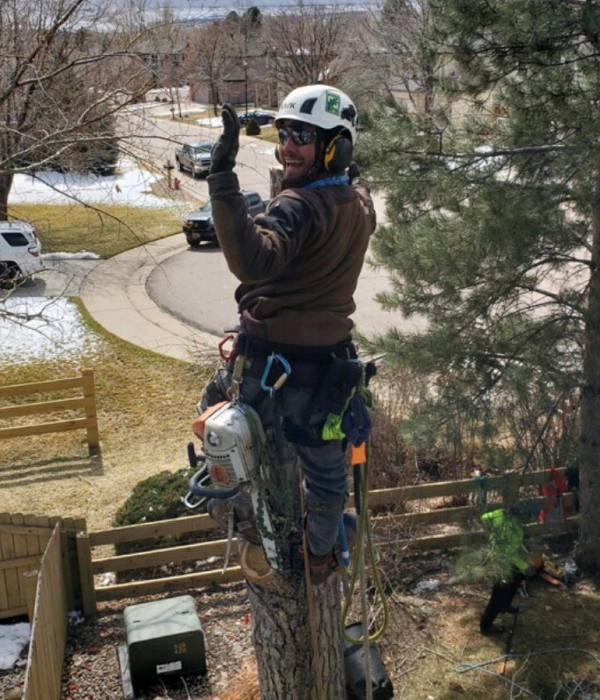 training service Fort Collins MO